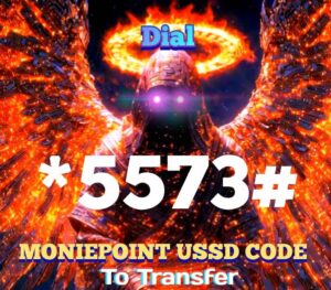 How To Use The *5573# Moniepoint USSD Code To Transfer 