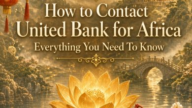 How to Contact UBA Nigeria: Phone, Email, App, Chat and Branch